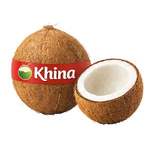 Kelapa Tua Khina