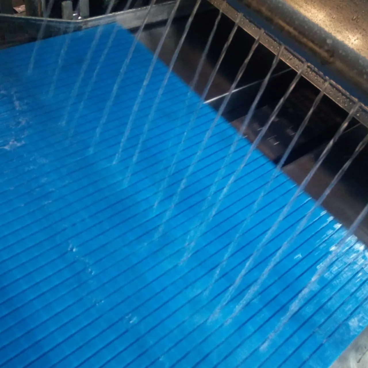 Nata  De Coco Cutting Machine Conveyor