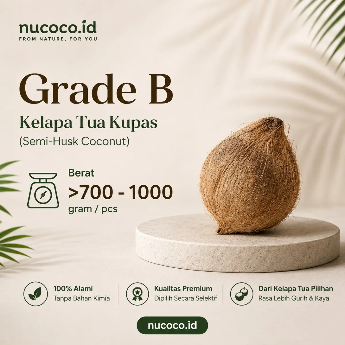 Kelapa Tua Grade B