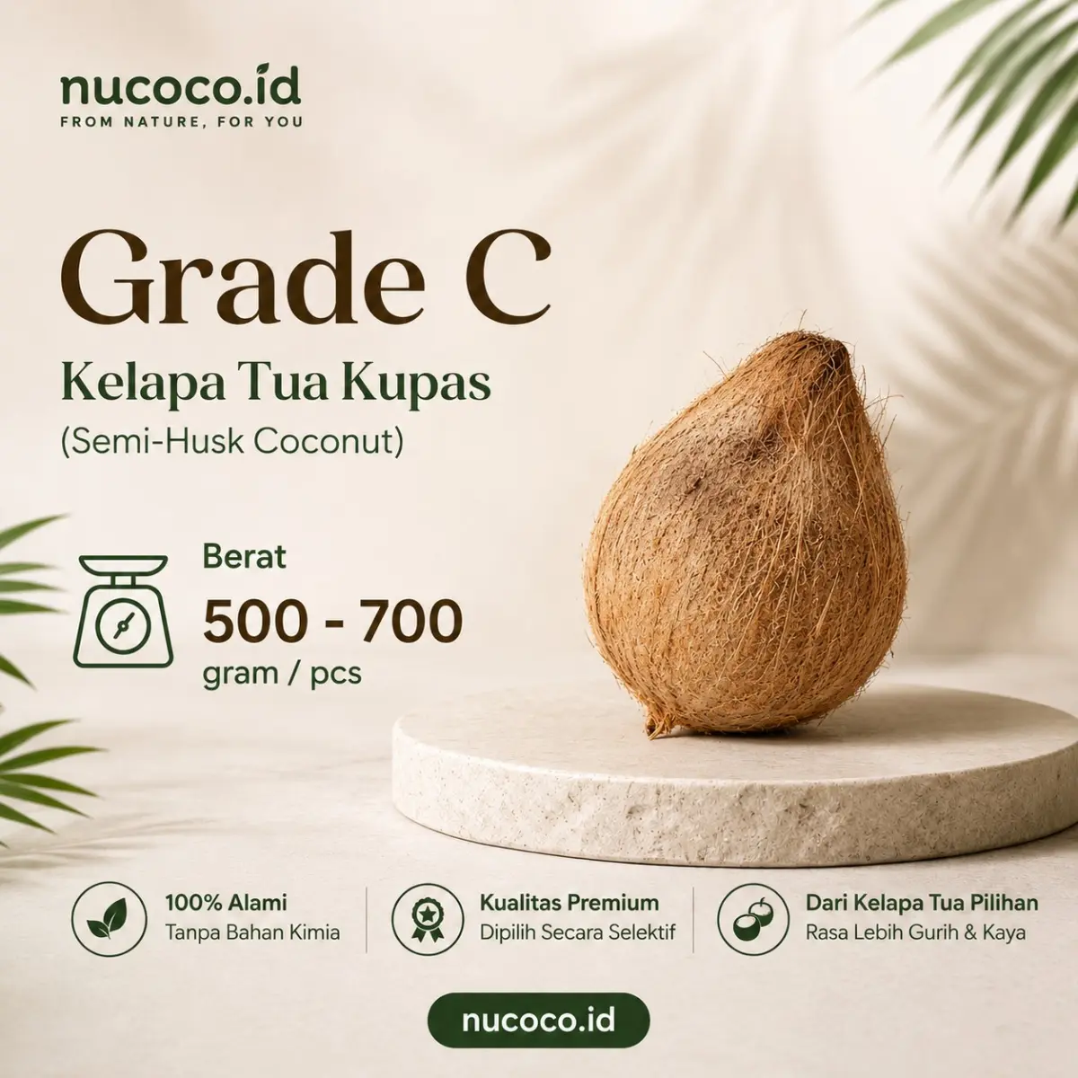 Kelapa Tua Grade C