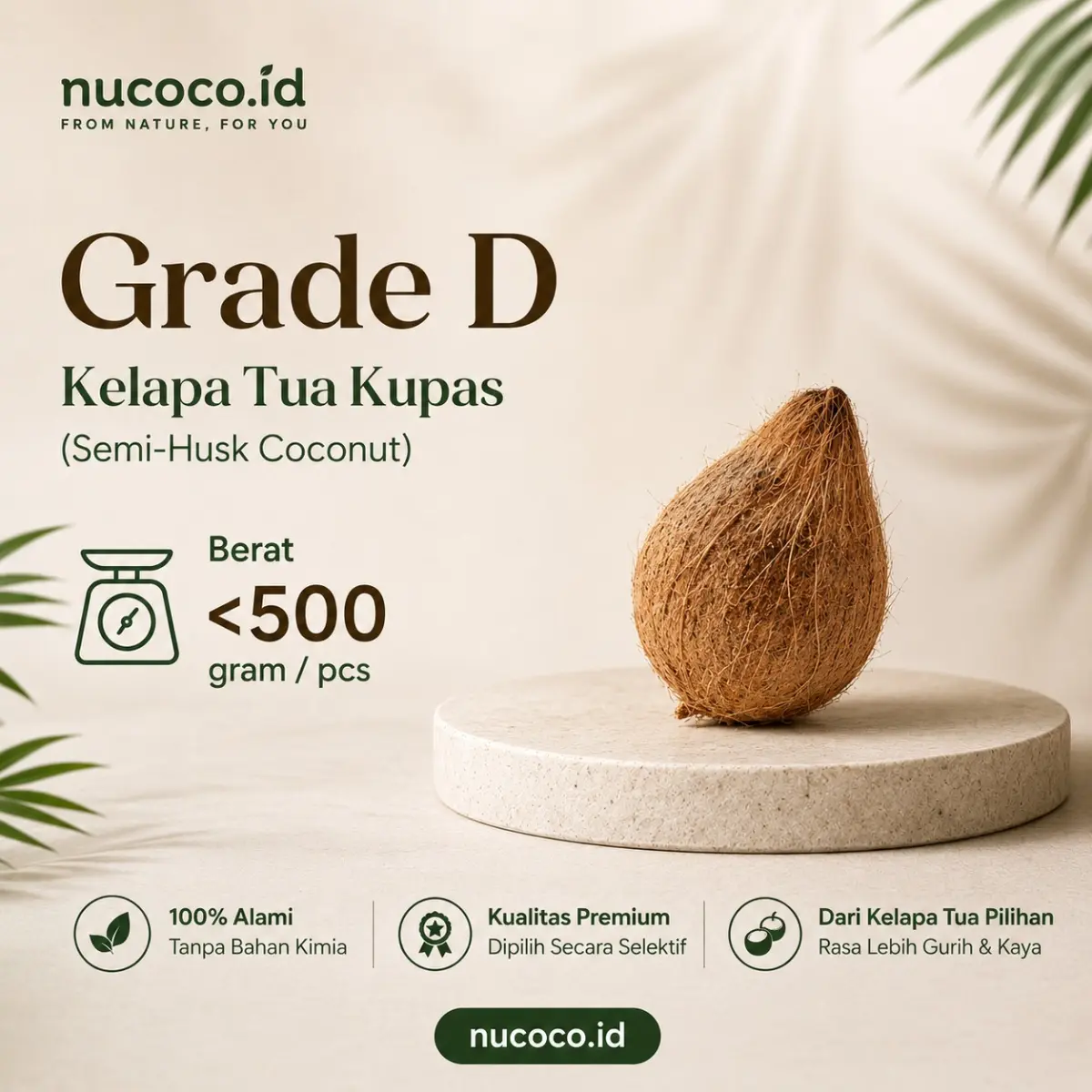 Kelapa Tua Grade D
