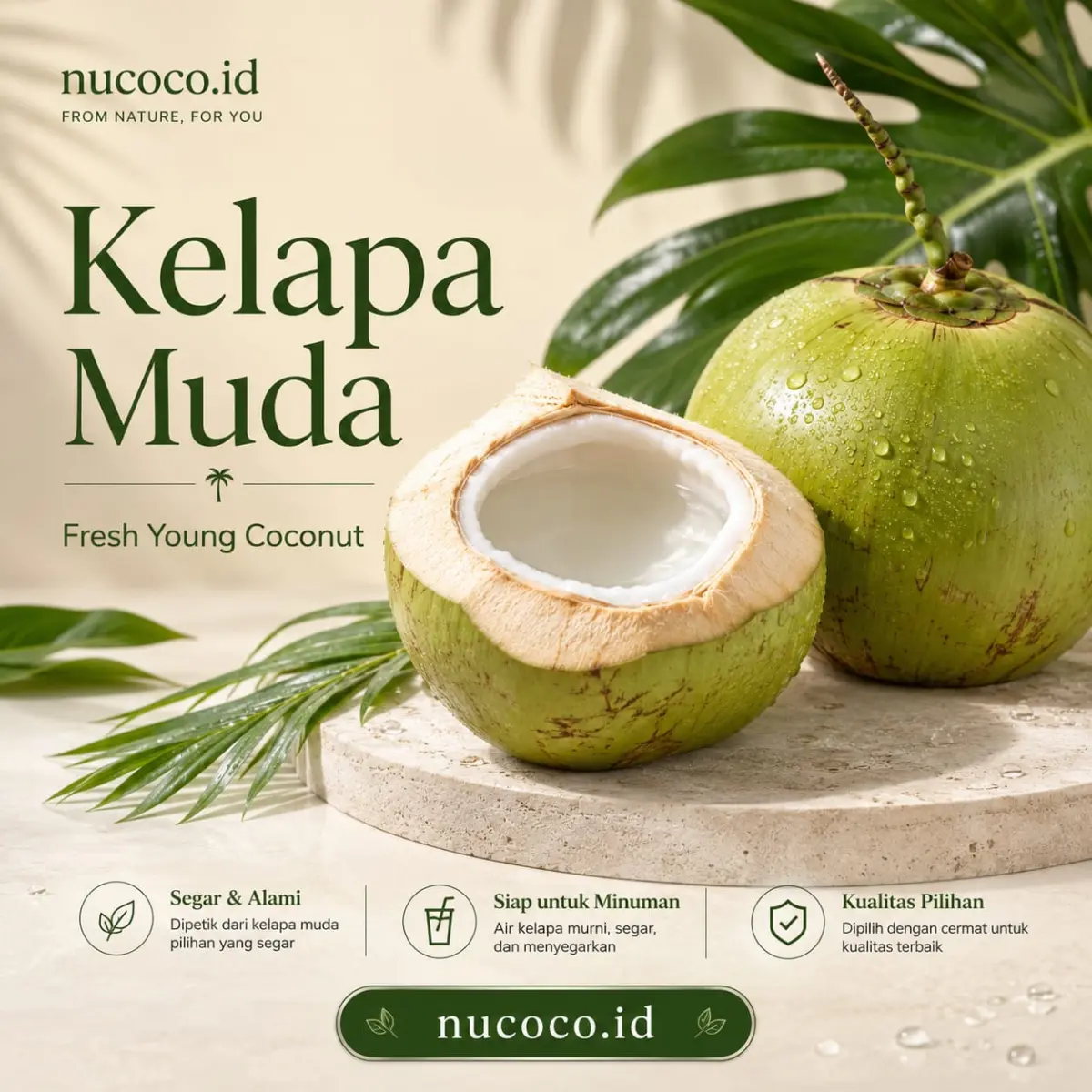 Kelapa Muda Pilihan