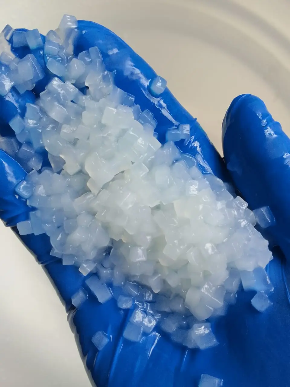 Integrated Training Production Process Nata De Coco